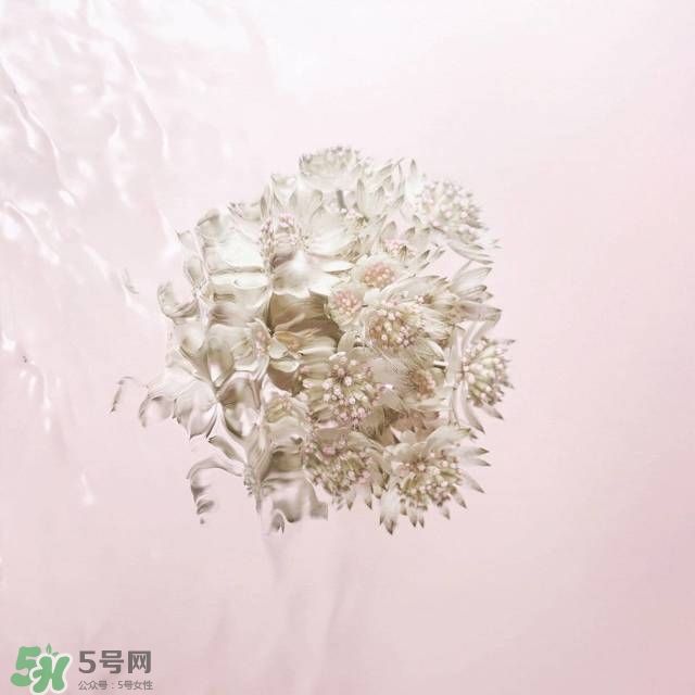 雅詩蘭黛2017春夏新品有哪些_什么時(shí)候上市