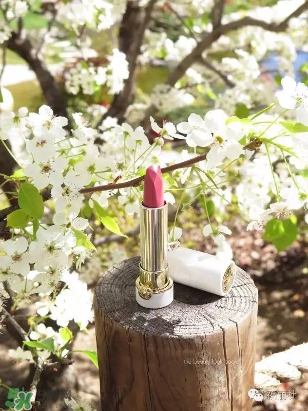 tatcha梅子粉好看嗎？tatcha白管口紅梅子粉試色