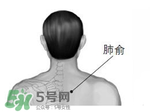 三伏貼能治過(guò)敏性鼻炎嗎？三伏貼治過(guò)敏性鼻炎貼哪里？