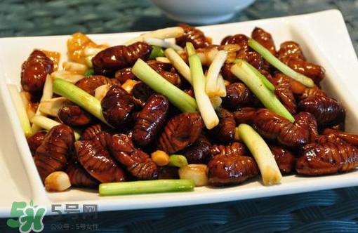 蟬蛹多少錢一斤？野生蟬蛹多少錢一斤