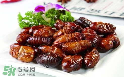 蟬蛹可以人工養(yǎng)殖嗎？蟬蛹的養(yǎng)殖方法