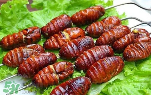 蟬蛹怎么處理？蟬蛹怎么保存