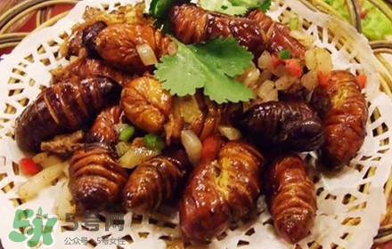 蟬蛹可以多吃嗎？蟬蛹多吃會(huì)怎么樣？