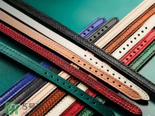 寶格麗全新serpenti系列腕表怎么樣？寶格麗全新蛇形手表好不好？