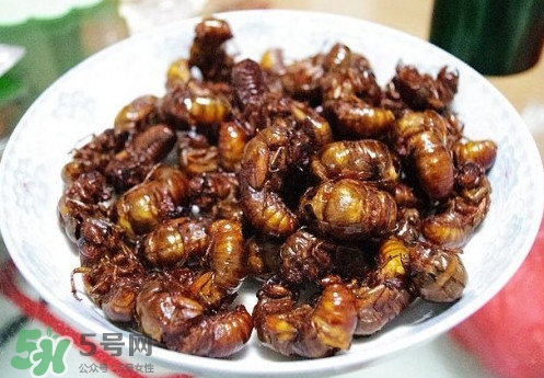 孕婦可以吃蟬蛹嗎？懷孕吃蟬蛹有沒(méi)有副作用