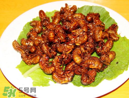 知了猴為什么要用鹽水泡？知了猴用鹽水泡多久？