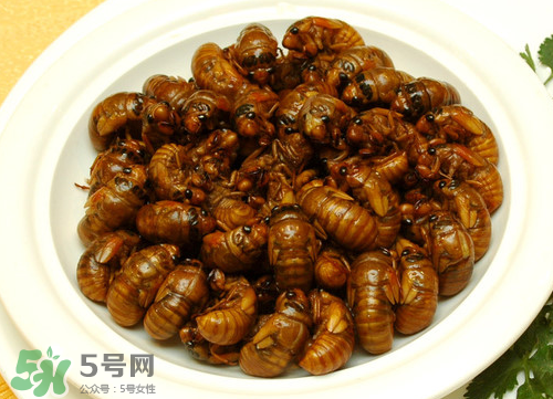 知了猴為什么要用鹽水泡？知了猴用鹽水泡多久？