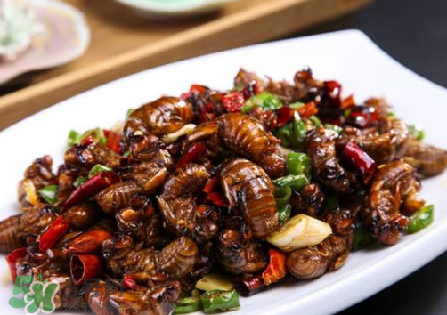 知了猴為什么要用鹽水泡？知了猴用鹽水泡多久？