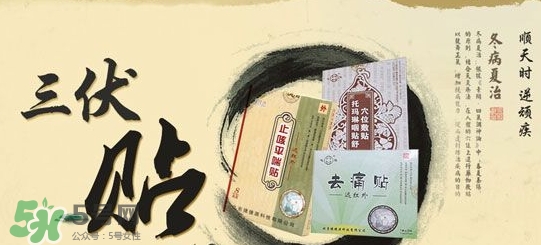 貼三伏貼掛什么科？三伏貼掛什么號？