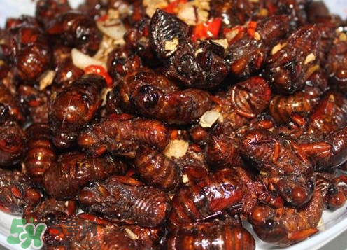 知了猴能淹死嗎？知了猴哪個部位不能吃？