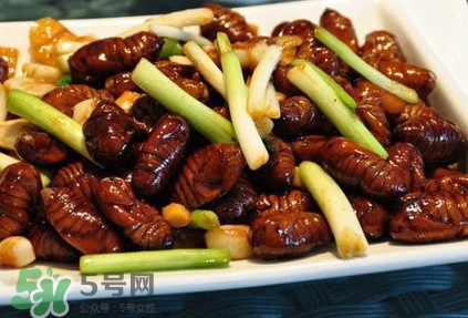 孕婦可以吃蟬蛹嗎？懷孕吃蟬蛹有沒(méi)有副作用