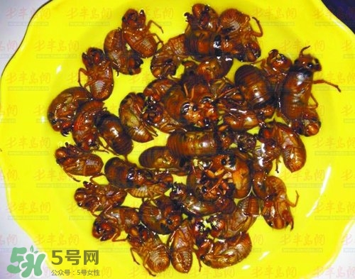 知了猴能淹死嗎？知了猴哪個部位不能吃？