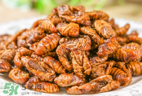 蟬蛹可以多吃嗎？蟬蛹多吃會(huì)怎么樣？