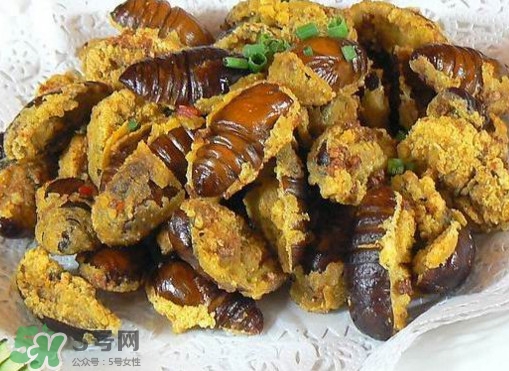 水煮蟬蛹怎么做？蟬蛹煮多久可以熟？