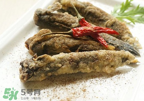 彈涂魚(yú)是兩棲動(dòng)物嗎？彈涂魚(yú)營(yíng)養(yǎng)價(jià)值有哪些