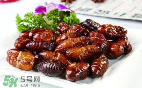 蟬蛹里面黑色的能吃嗎？蟬蛹是怎么形成的