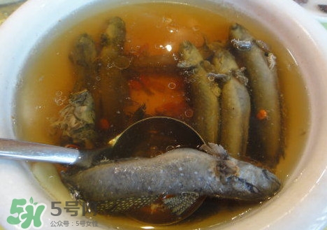 跳跳魚多少錢一斤？跳跳魚是淡水魚嗎？