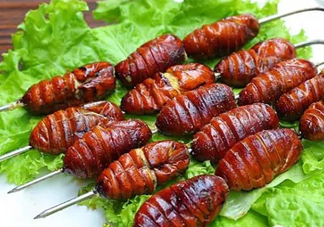 蟬蛹怎么處理？蟬蛹怎么保存