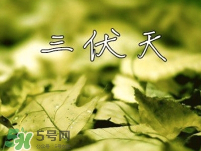 三伏天怎么坐月子？三伏天坐月子要注意什么？