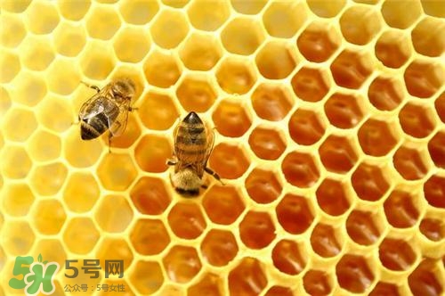 三伏貼能治過(guò)敏性鼻炎嗎？三伏貼治過(guò)敏性鼻炎貼哪里？