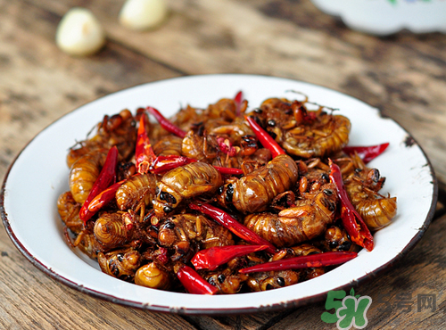 知了猴吃多了好不好？知了猴吃多了會怎么樣？