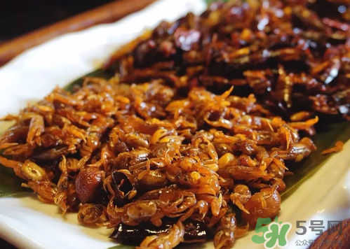 知了猴吃多了好不好？知了猴吃多了會怎么樣？