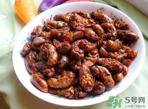 知了猴吃多了好不好？知了猴吃多了會怎么樣？