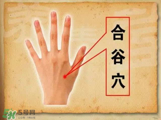 三伏灸可以去除體內濕氣嗎？三伏灸可以去濕氣嗎？