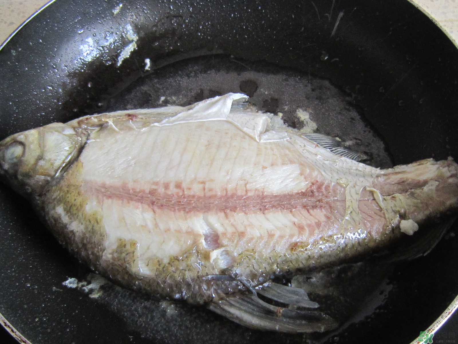 三伏灸可以吃魚嗎？三伏灸可以吃什么魚？