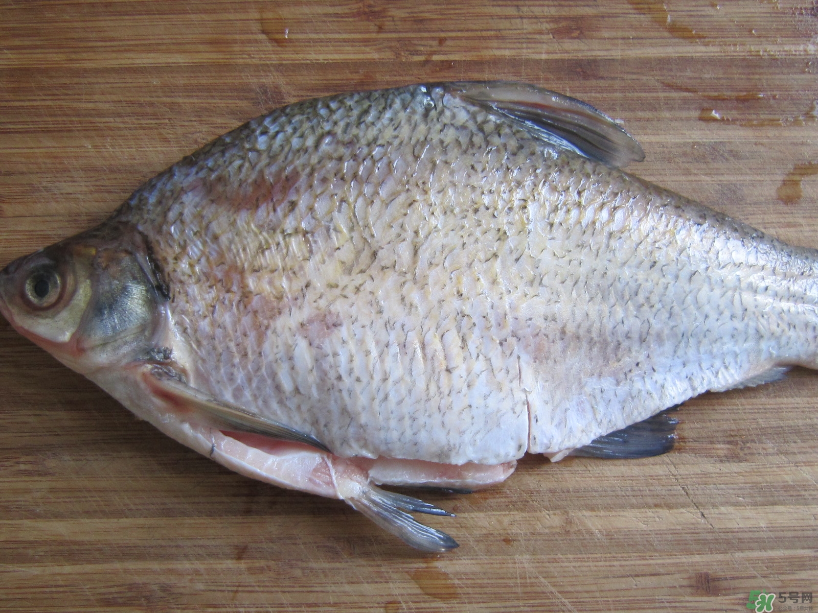 三伏灸可以吃魚嗎？三伏灸可以吃什么魚？