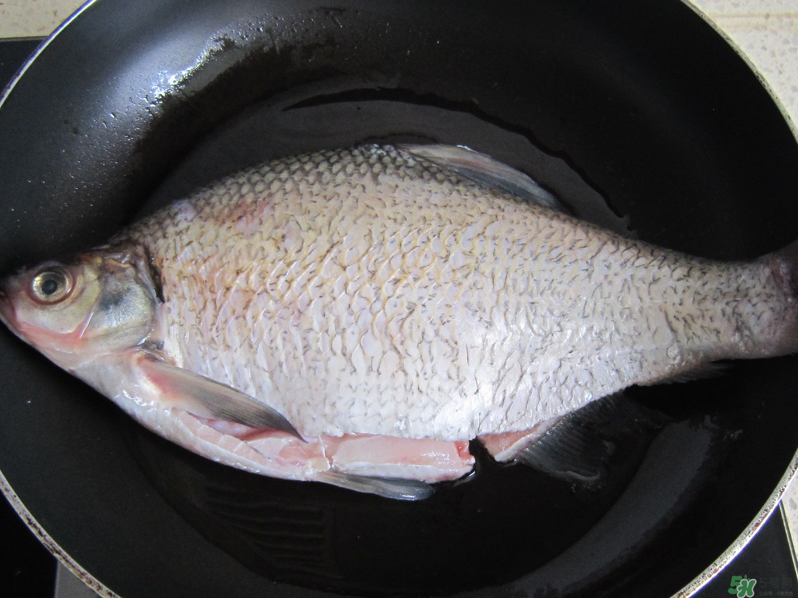 三伏灸可以吃魚嗎？三伏灸可以吃什么魚？