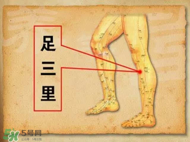 三伏灸可以去除體內濕氣嗎？三伏灸可以去濕氣嗎？