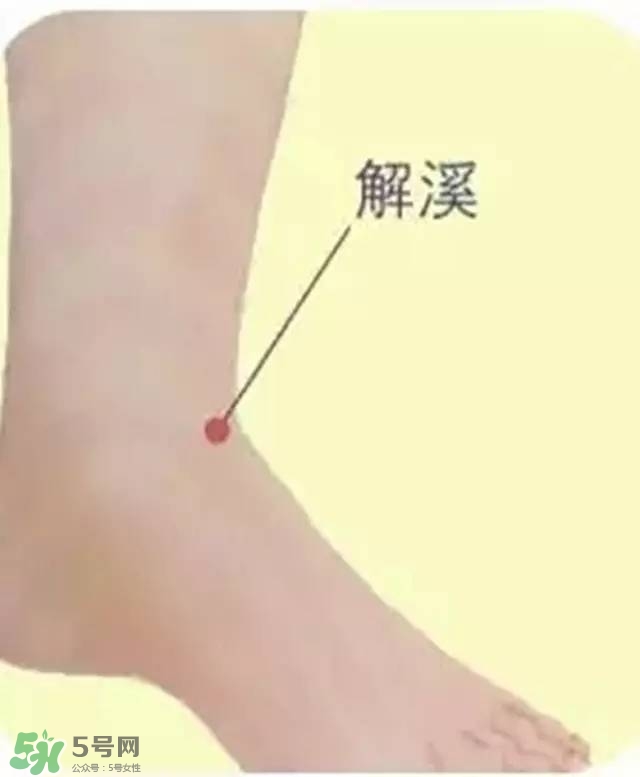 三伏灸可以去除體內濕氣嗎？三伏灸可以去濕氣嗎？