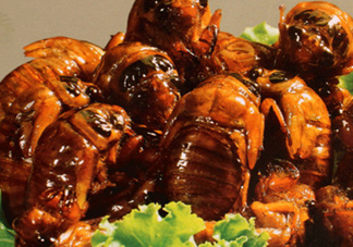 吃知了猴有什么好處？吃知了猴的好處與壞處