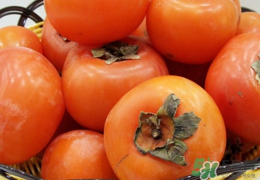 柿餅比柿子熱量高嗎？柿餅比柿子更好吃嗎？