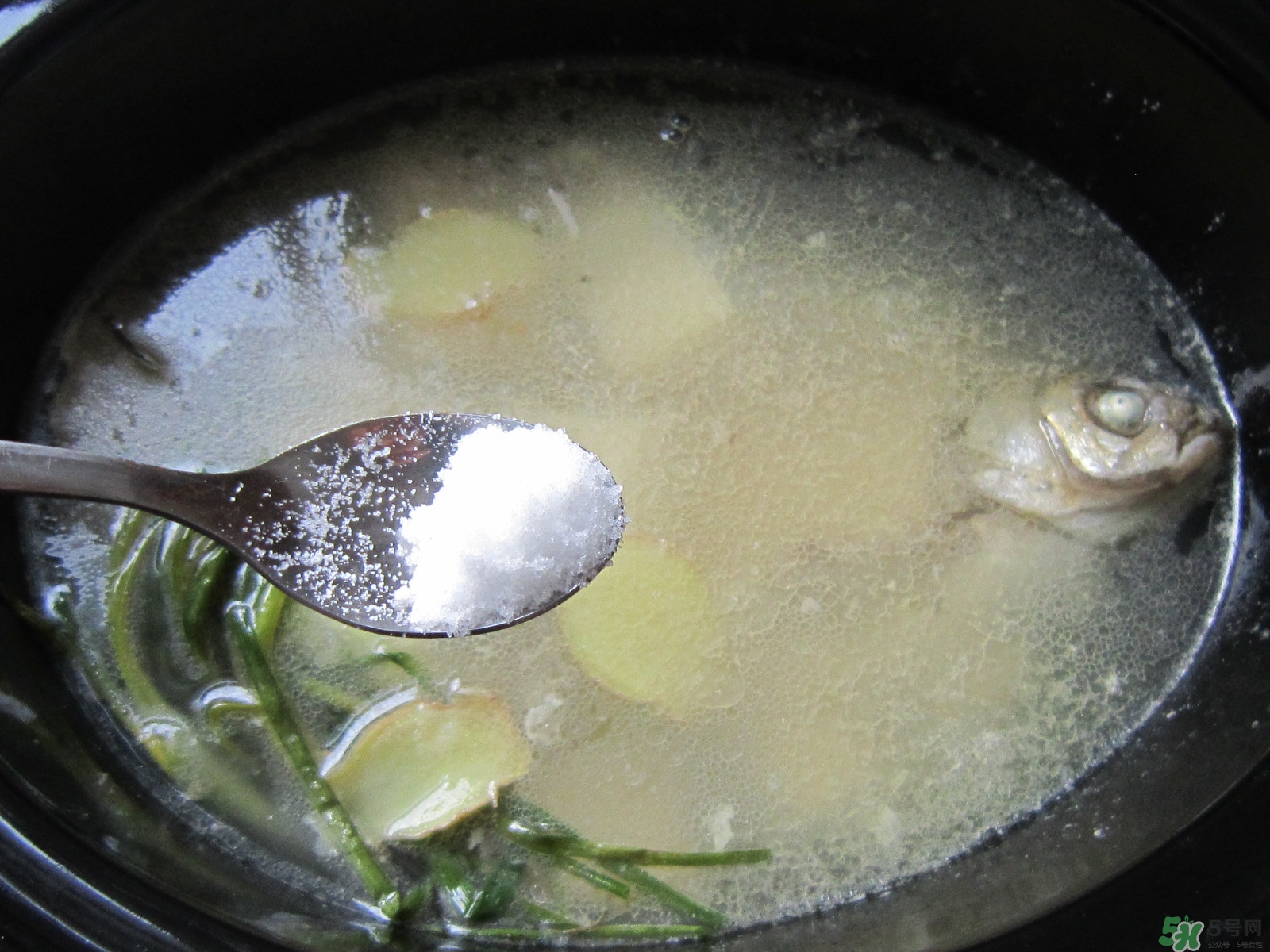 三伏灸可以吃魚嗎？三伏灸可以吃什么魚？