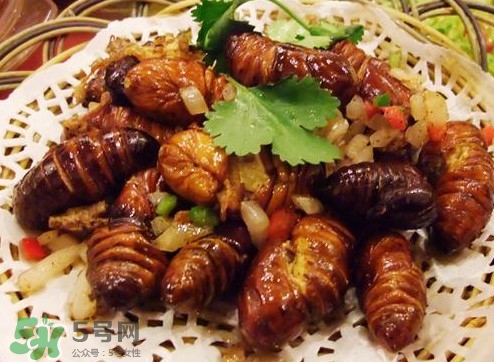 幼蟬猴怎么做好吃？幼蟬猴有什么營養(yǎng)價值