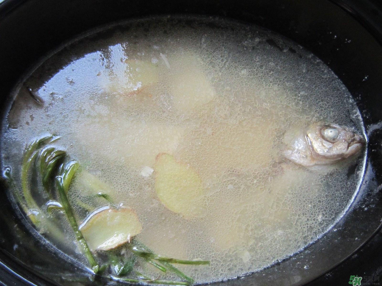 三伏灸可以吃魚嗎？三伏灸可以吃什么魚？