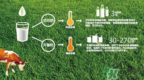 巴氏奶是純牛奶嗎？巴氏奶和常溫奶的區(qū)別