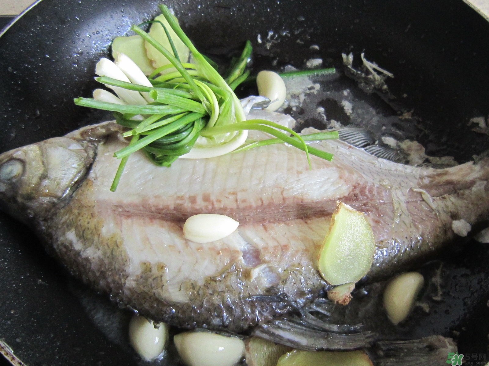 三伏灸可以吃魚嗎？三伏灸可以吃什么魚？