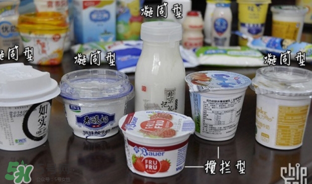 什么牌子的酸奶好？每天喝酸奶好還是純牛奶好