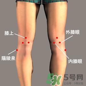 三伏灸可以治腰腿痛嗎？三伏灸治腰腿痛灸哪里》