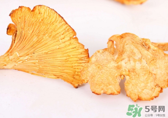 雞油菌多少錢一斤？雞油菌和雞樅菌有什么區(qū)別