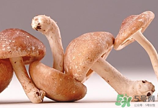 什么病不能吃香菇？香菇不能和什么一起吃