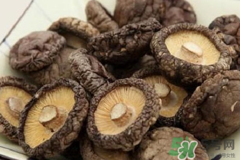 香菇是蘑菇嗎？香菇和蘑菇有什么區(qū)別