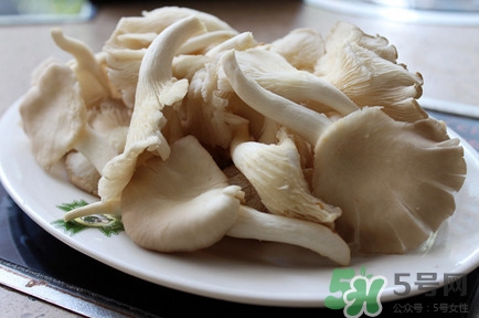 平菇怎么吃最有營(yíng)養(yǎng)？平菇長(zhǎng)白毛還能吃嗎