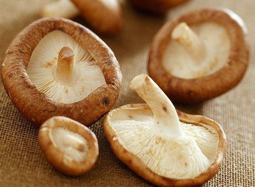 干香菇為什么比鮮香菇味道好？香菇為什么要曬干了再泡來(lái)吃