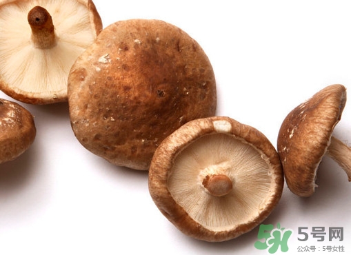 香菇是蘑菇嗎？香菇和蘑菇有什么區(qū)別