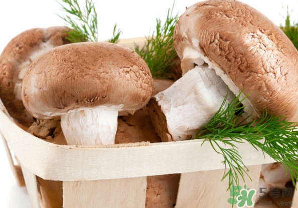 買香菇怎么挑選？干香菇怎么挑選？