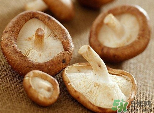 買香菇怎么挑選？干香菇怎么挑選？